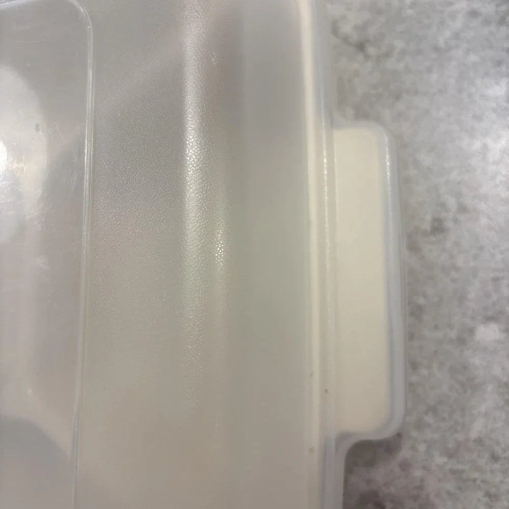 VTG Rubbermaid Servin Saver 0833 Divided Serving Vegetable Tray Almond